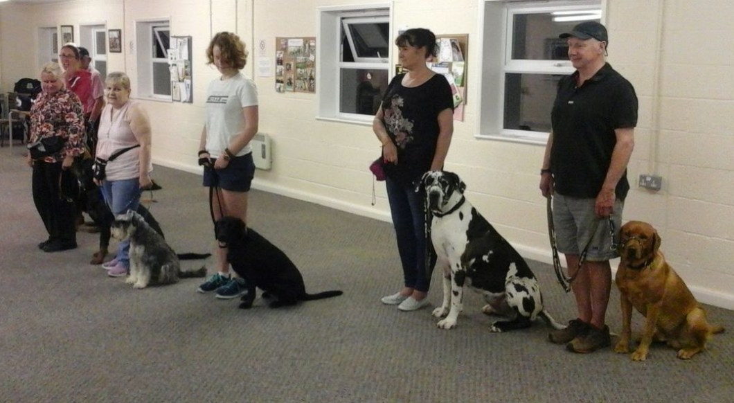 dog training class